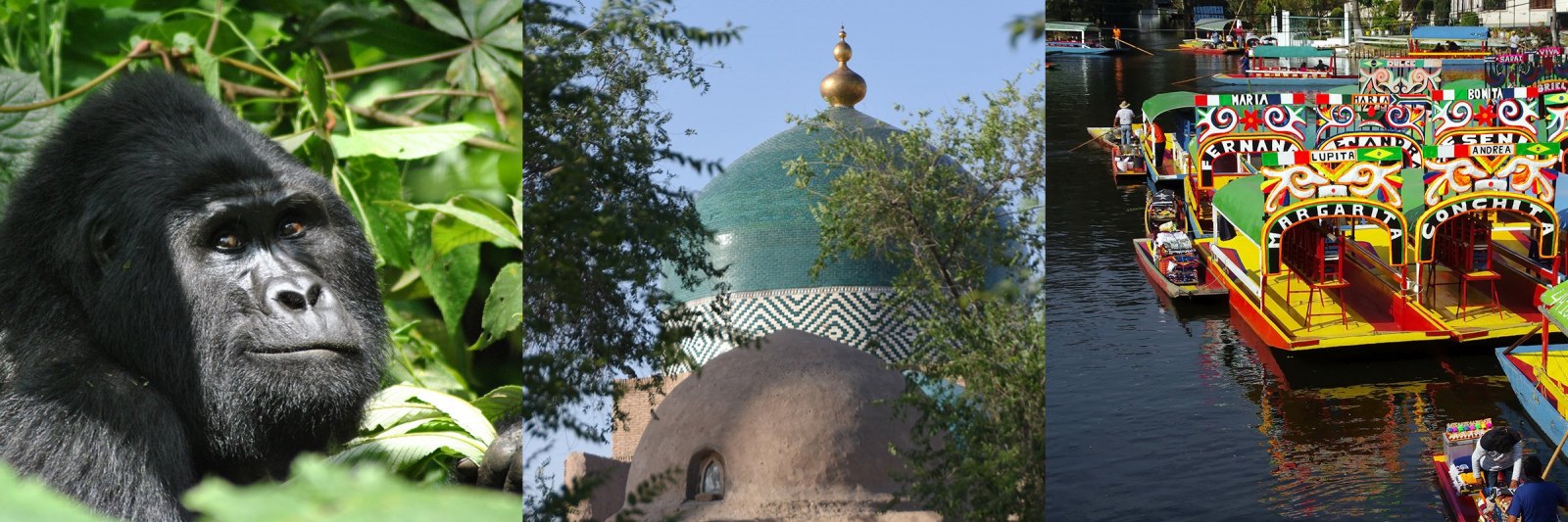 Fernreise: Uganda, Usbekistan, Mexiko